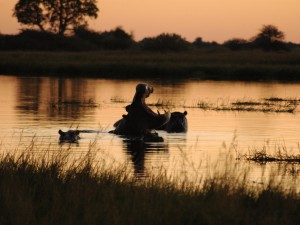 botswana